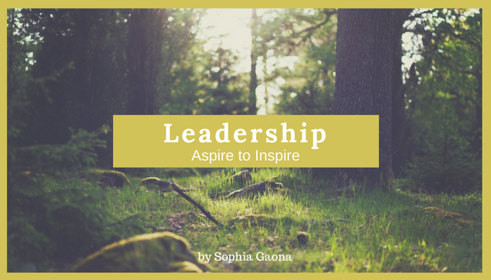 Leadership_ Aspire to Inspire