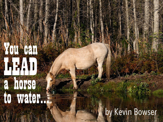 You can lead a horse